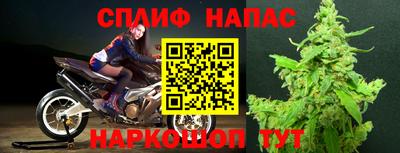 СК Севастополь