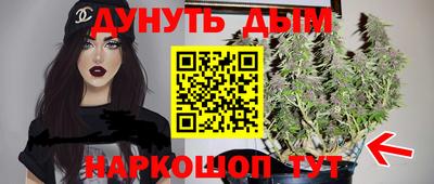 СК Севастополь